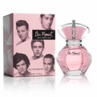 One Direction Our Moment